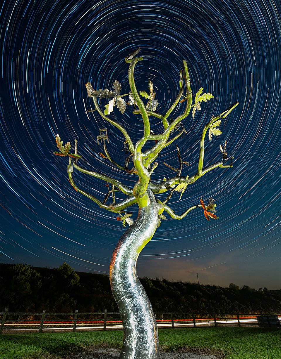 Nighttime photo of a metallic, sculptural tree with twisted branches illuminated by light, set against a vibrant star trail background creating circular patterns in the sky. A grassy foreground and dark silhouetted landscape add depth to the scene.